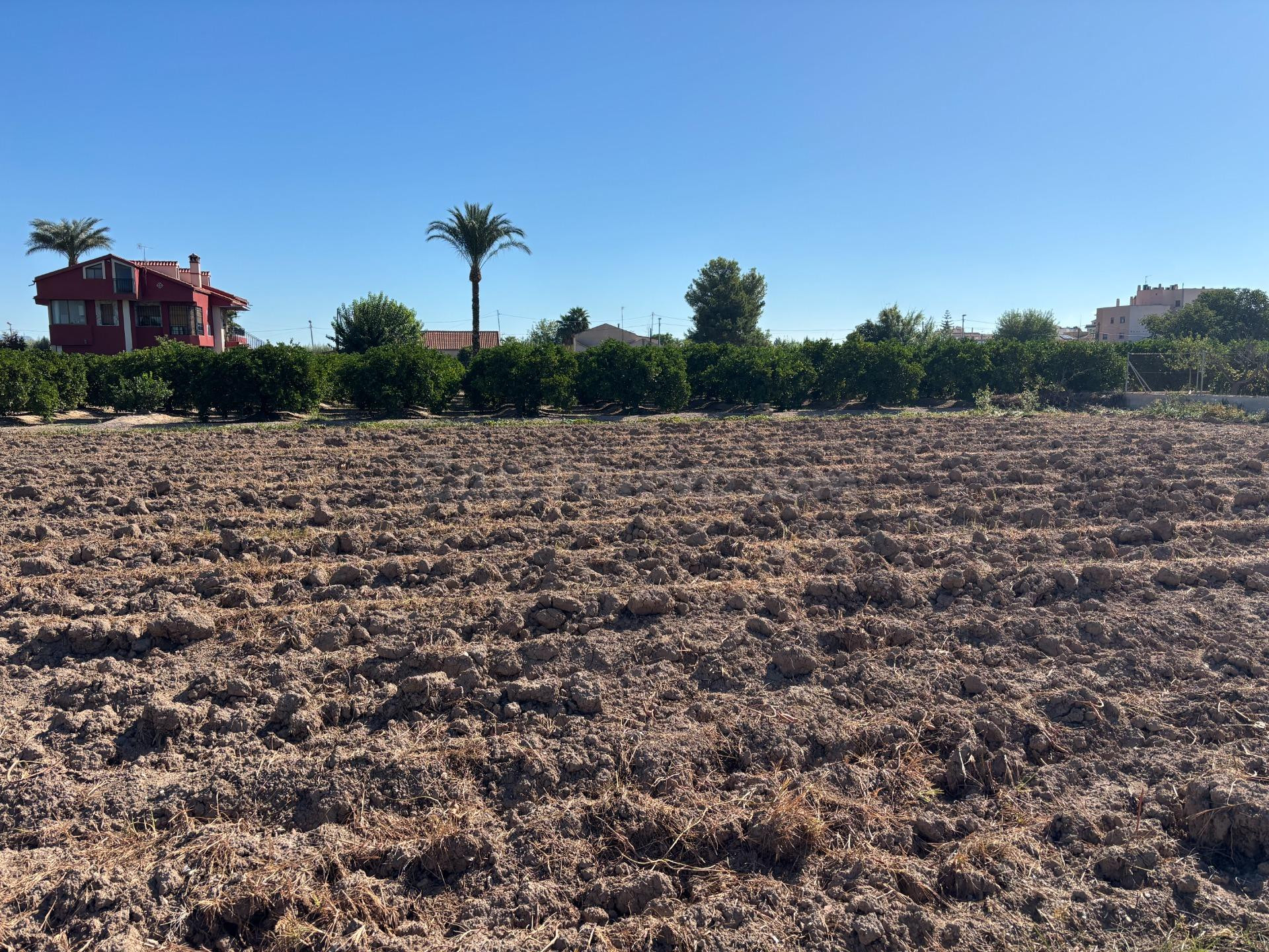 VENTA DE PARCELA RUSTICA EN CASILLAS - foto 4