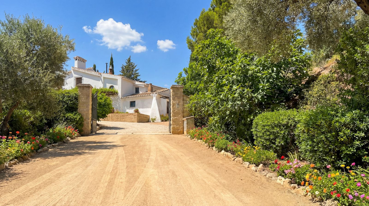 Finca rústica 9 habitaciones 738m² en venta - South of spain - foto 5
