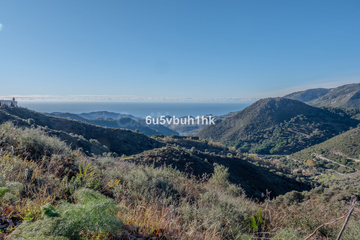 Parcela en venta - Puerto Sol-Los Almendros-El Tomillar - foto 3