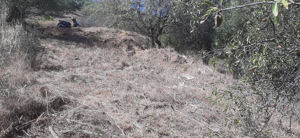 Finca rústica en zona alta de Marbella con vistas y servicios