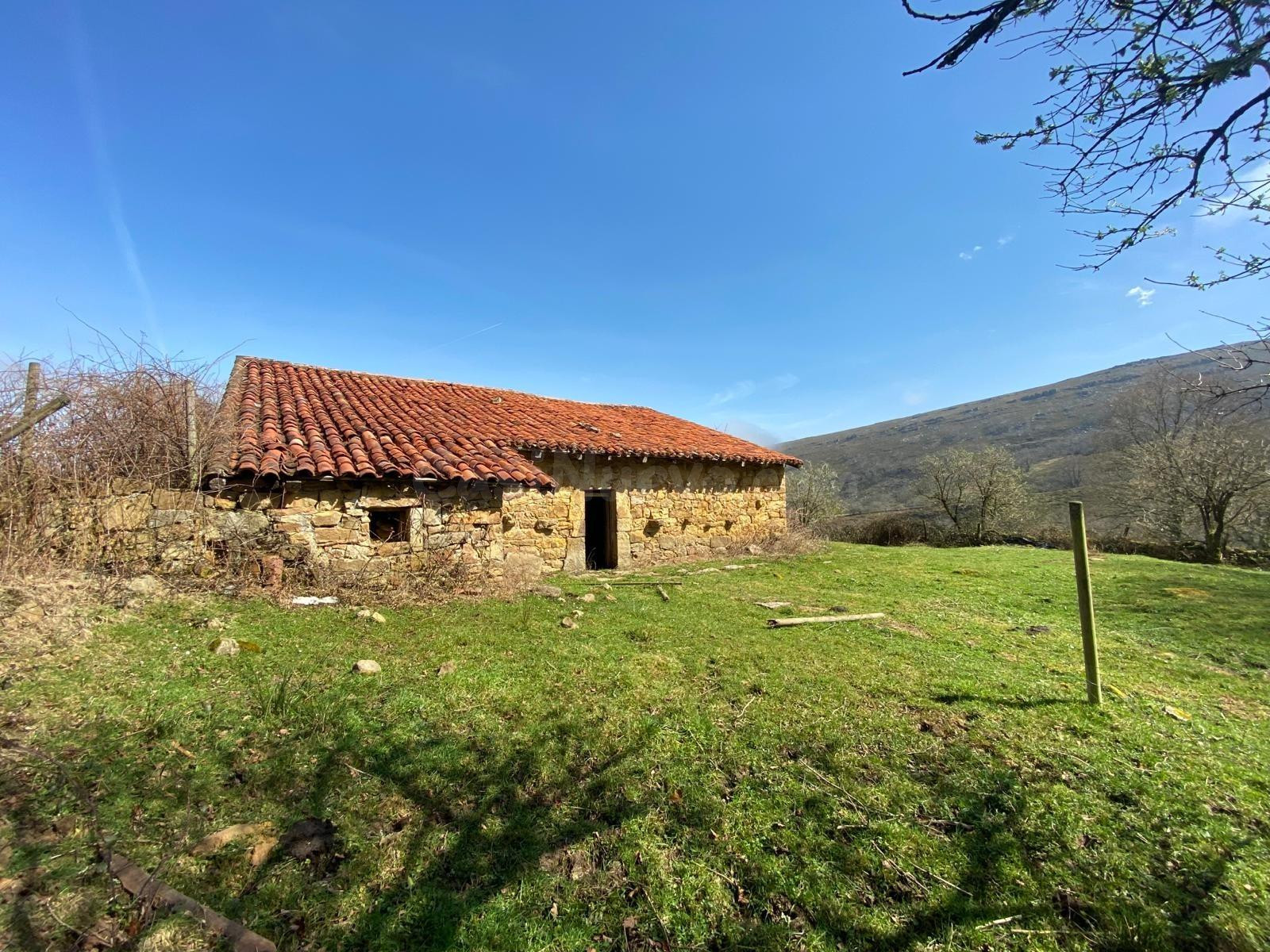 CABAÑA EN PARQUE NACIONAL RESERVA DEL SAJA