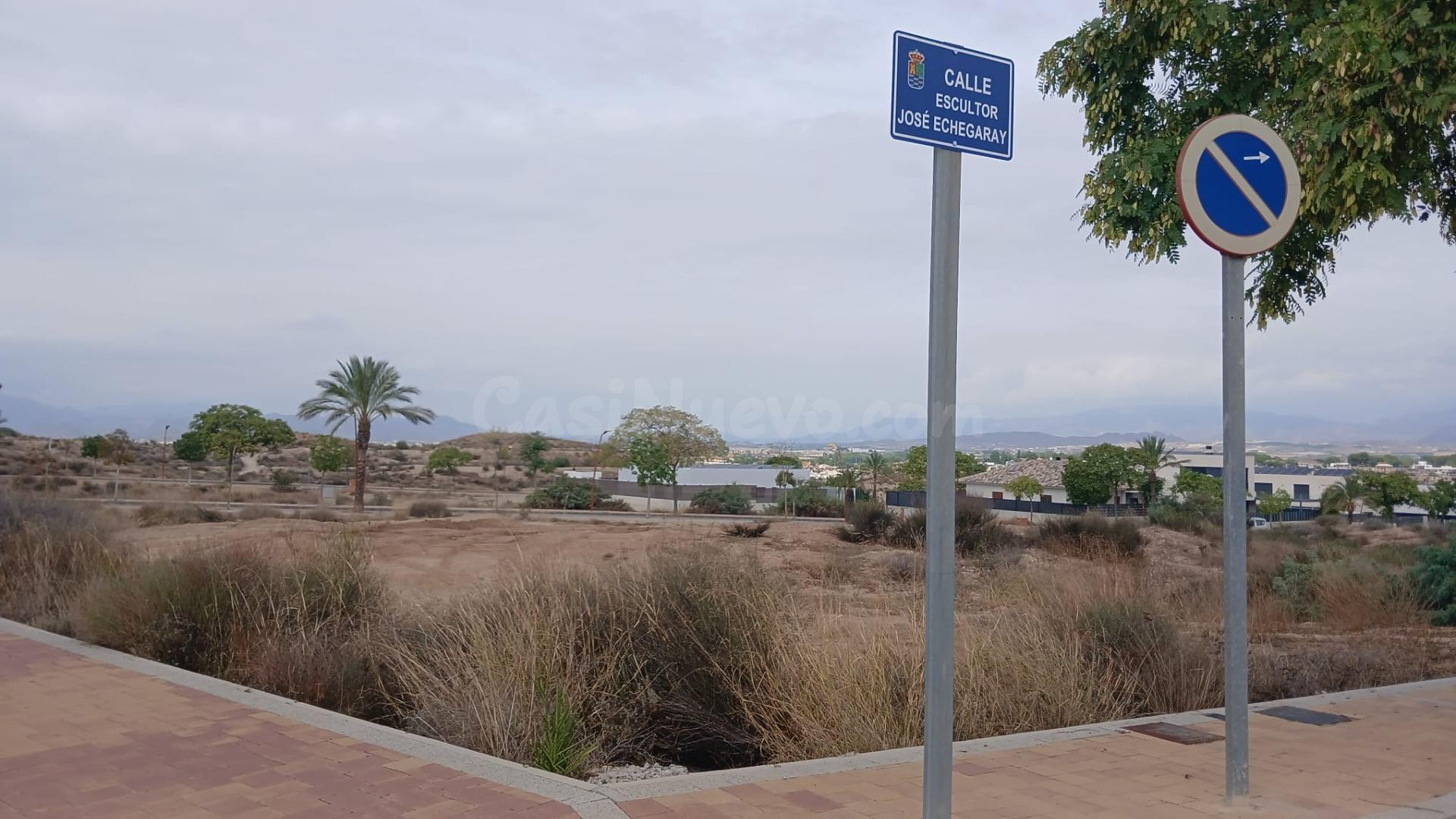 SE VENDE SOLAR URBANO EN LA QUINTA (MOLINA DE SEGURA) - foto 3
