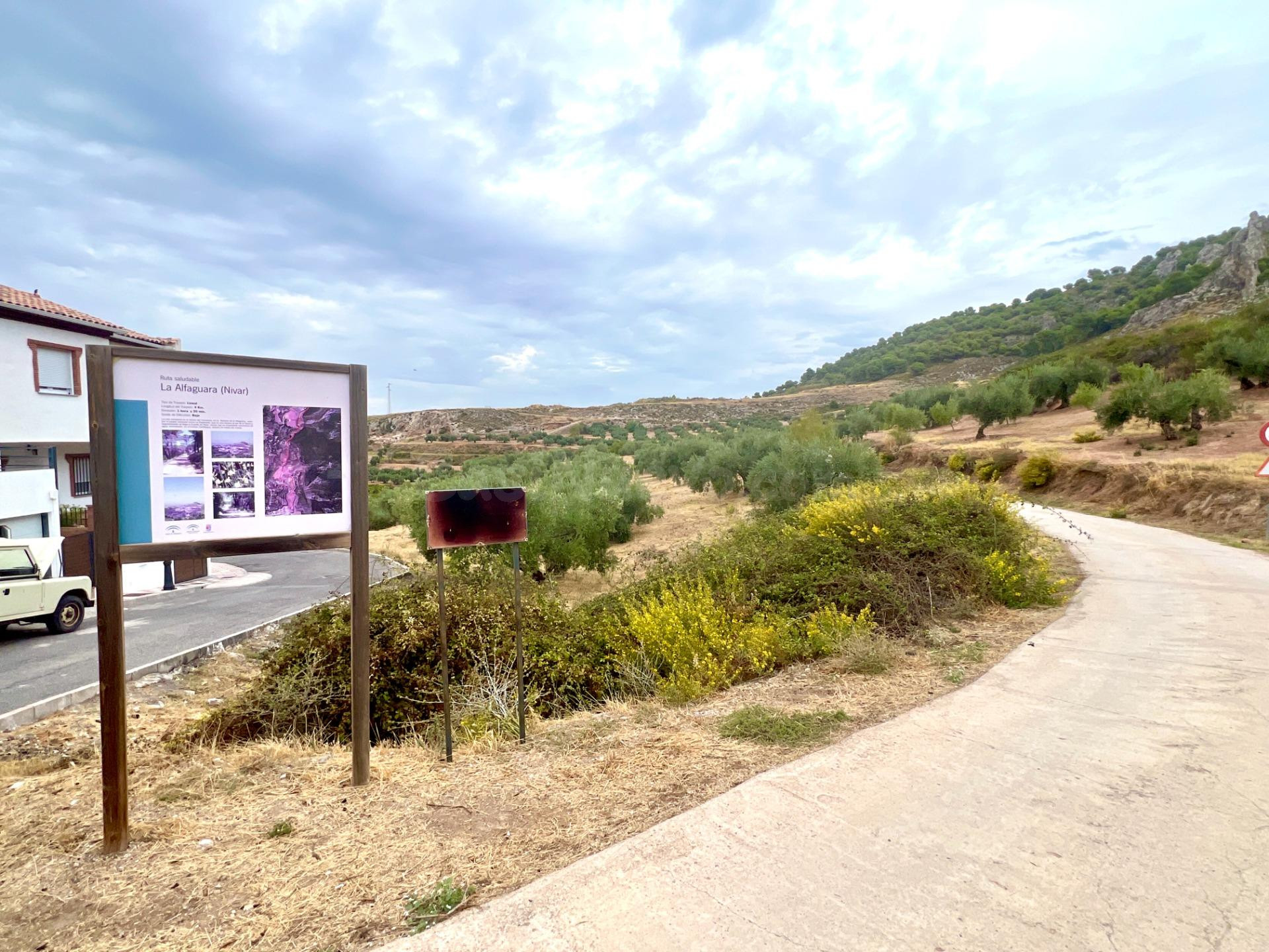 NIVAR - FINCA DE OLIVOS - foto 3