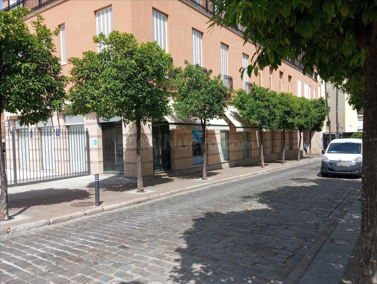 Venta local comercial en Jerez de la Frontera (Cádiz)