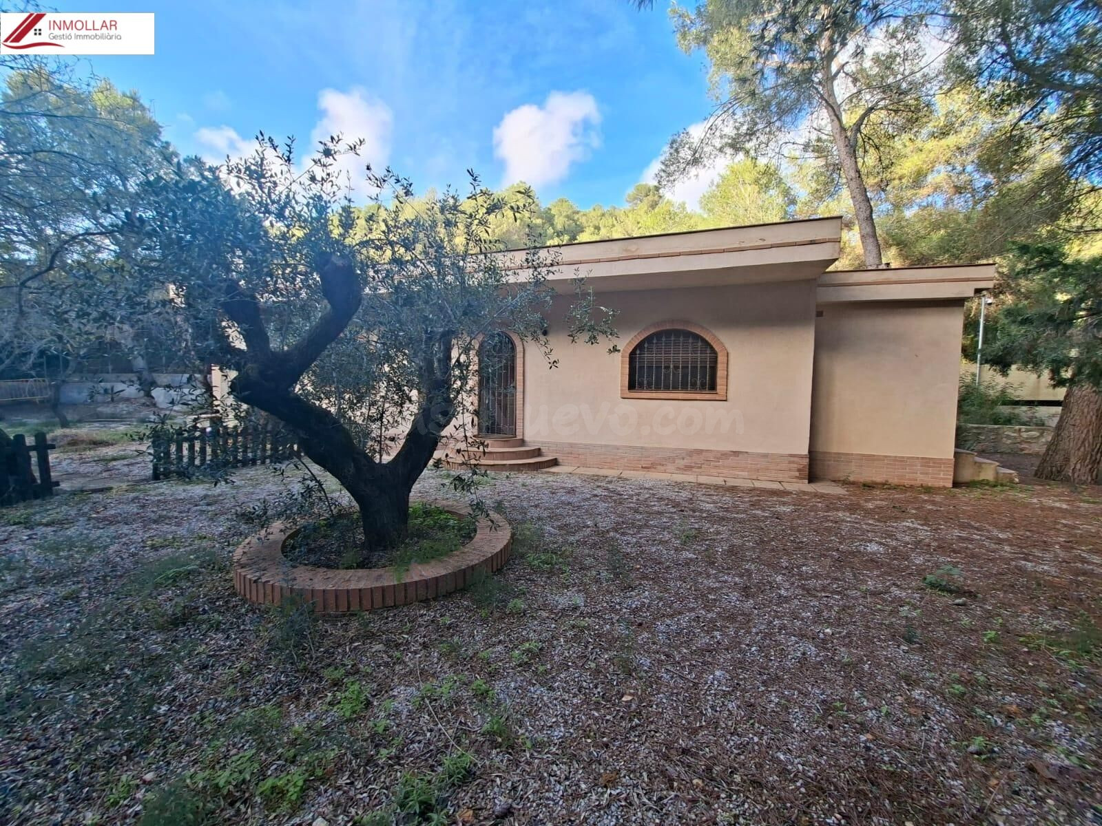 OCASIÓN FINCA RÚSTICA CON DOS CASAS INDEPENDIENTES, IDEAL DO - foto 4