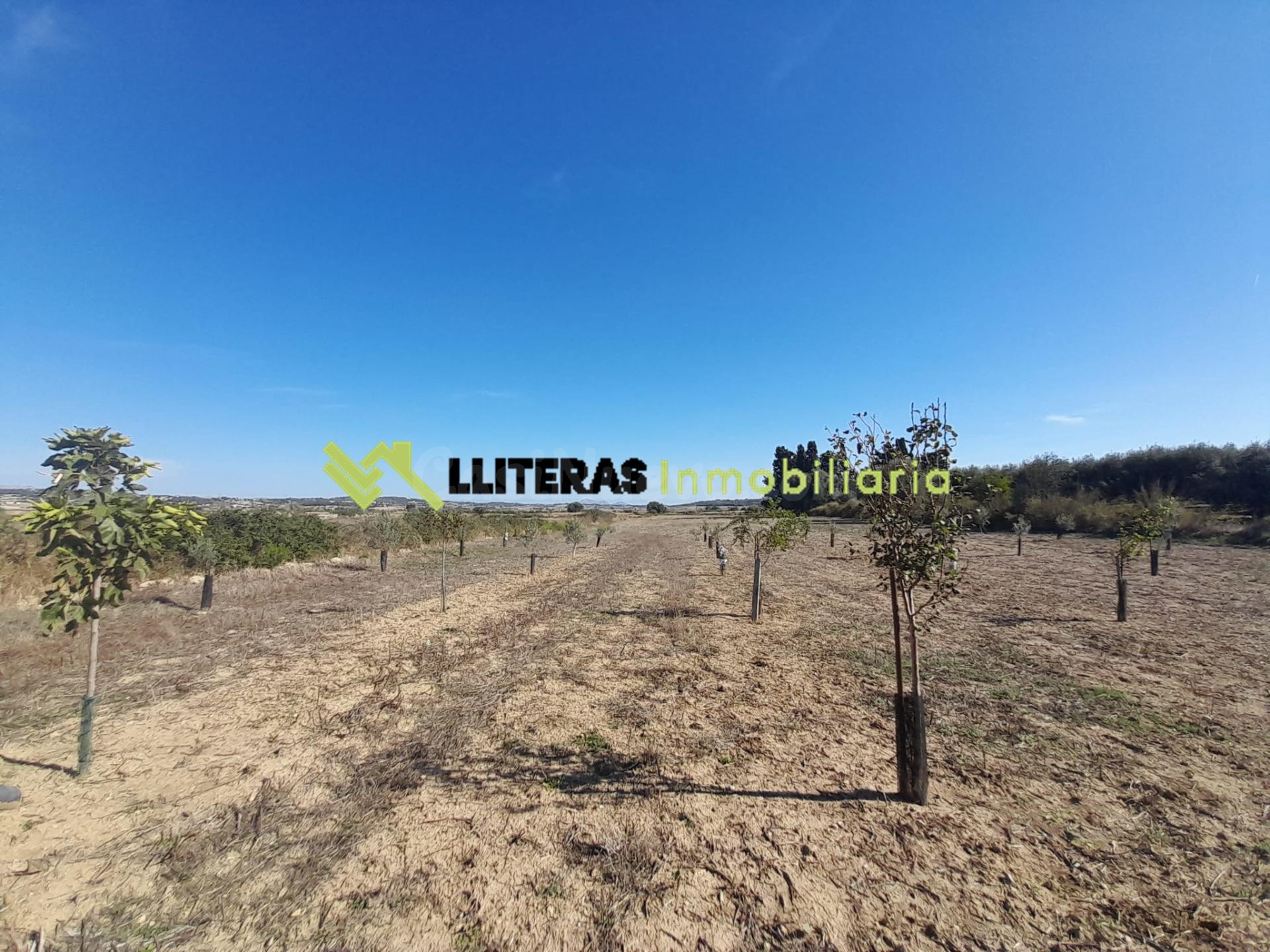 Finca rústica  en María de la Salut  con pozo-  Naturaleza, 