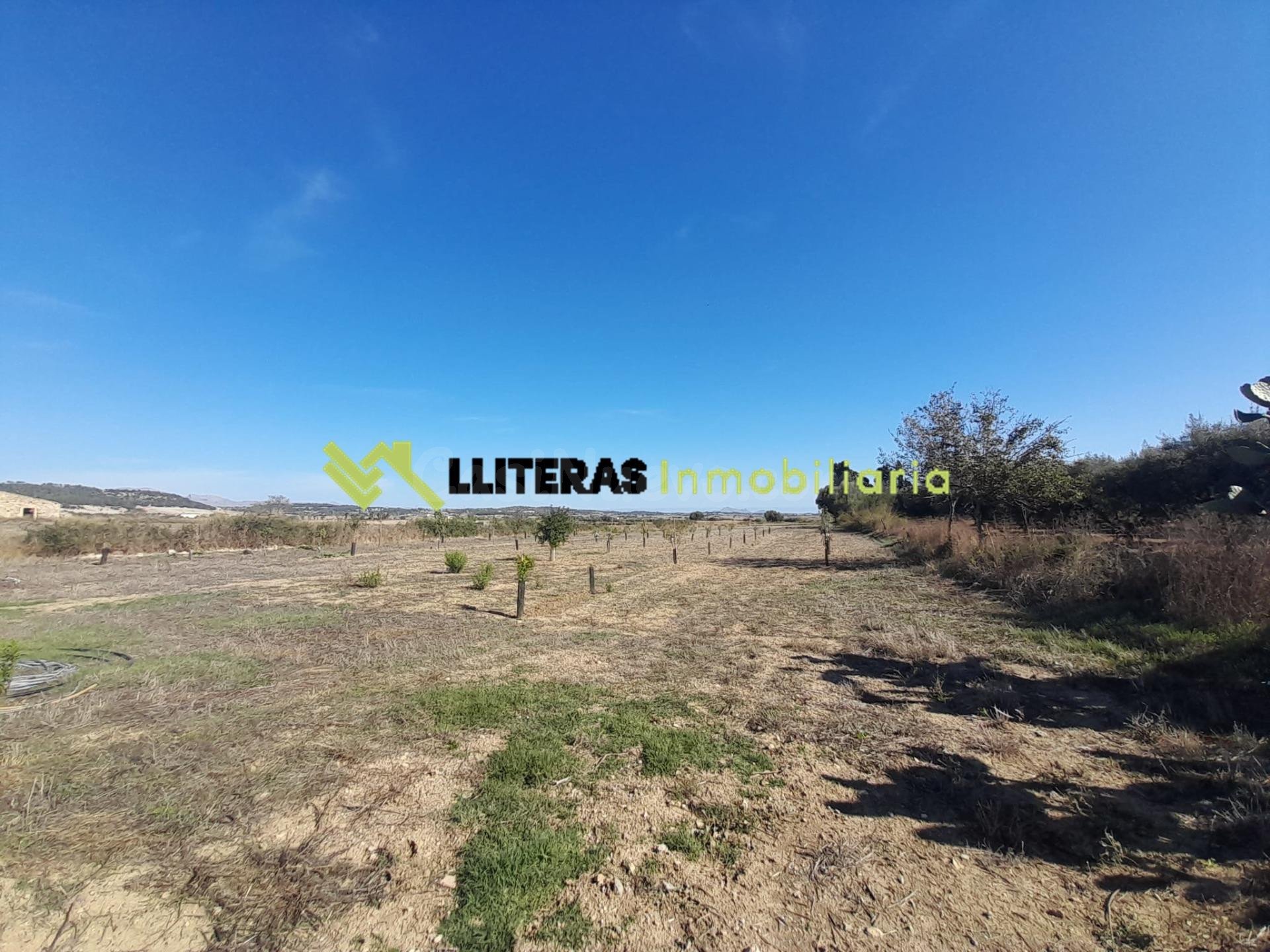 Finca rústica  en María de la Salut  con pozo-  Naturaleza,  - foto 5