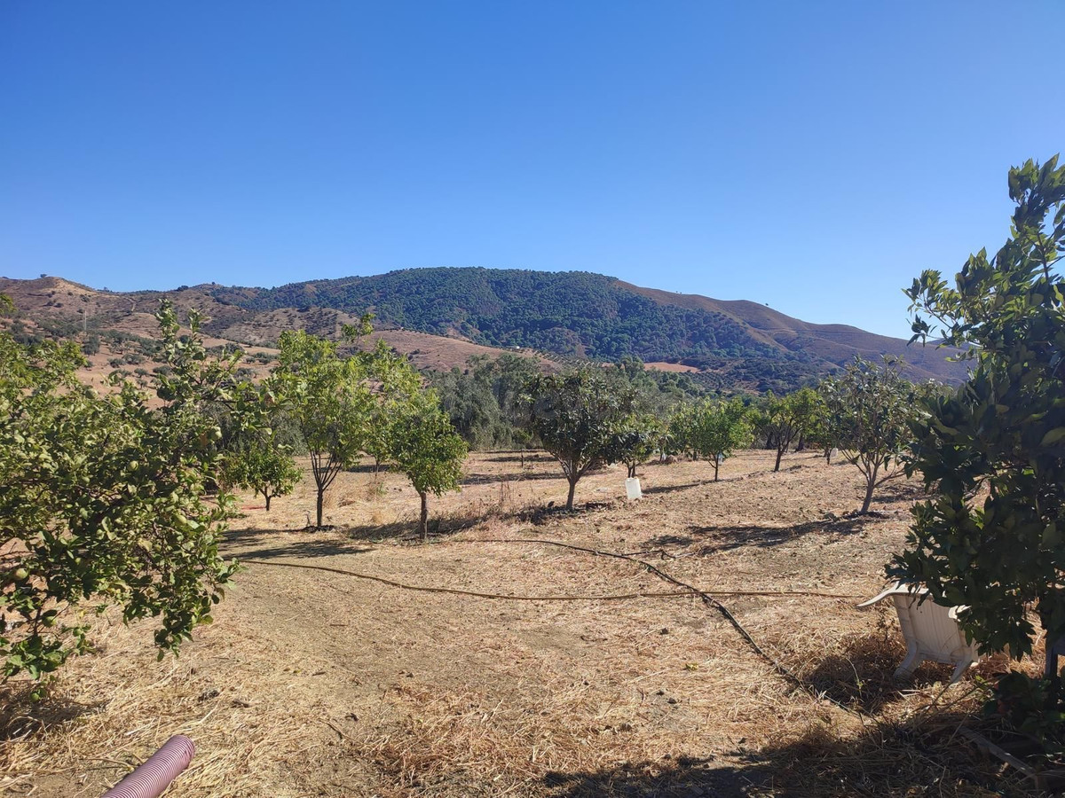 Parcela en venta - South of spain - foto 2