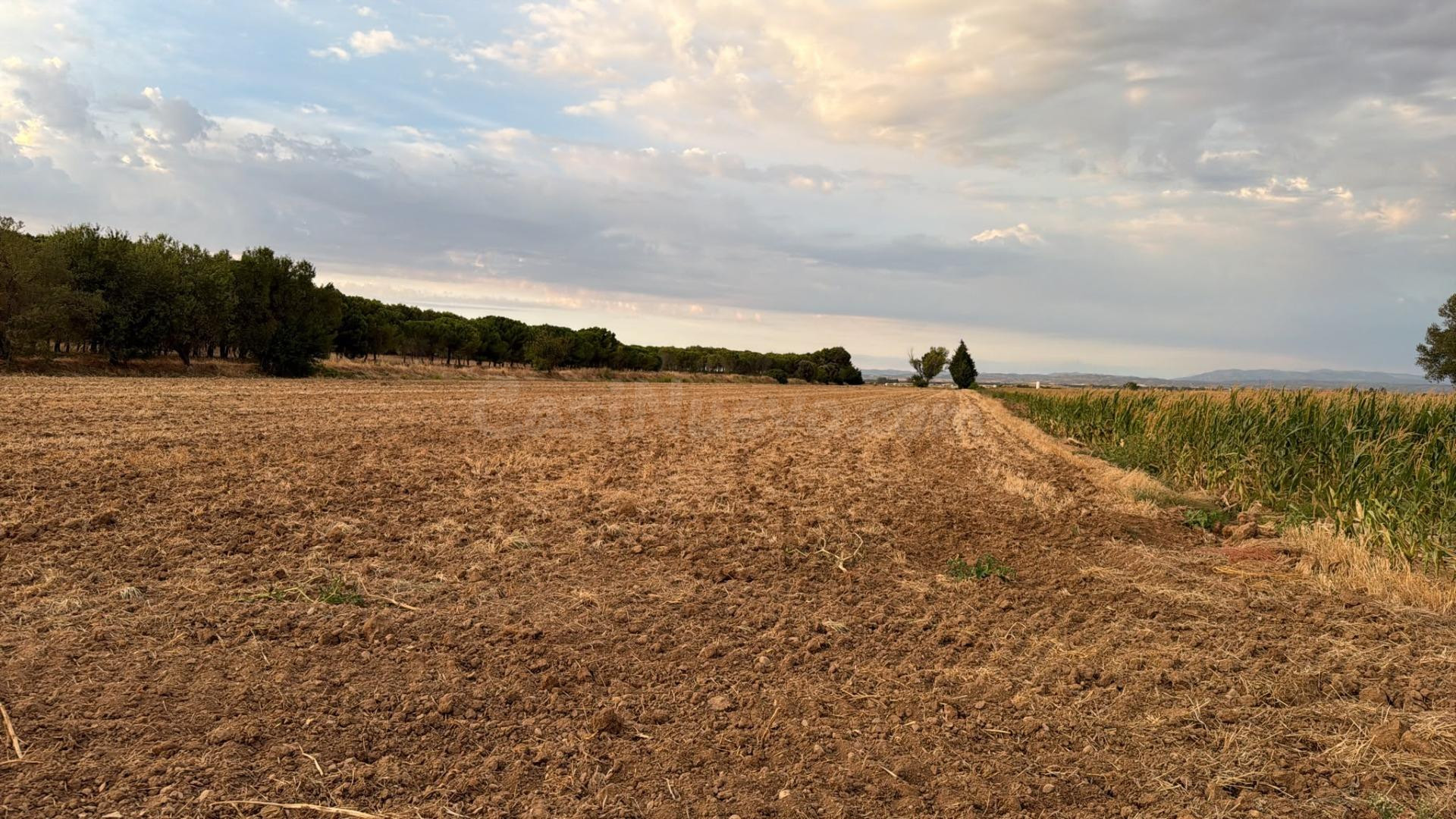 Amplio Terreno Rural en Ejea de los Caballeros