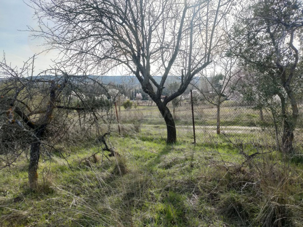 Parcela en Venta en Torrelaguna Madrid