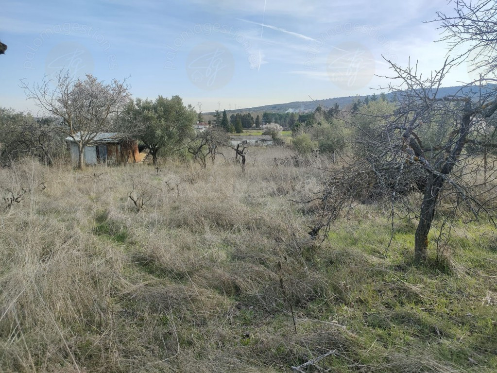 Parcela en Venta en Torrelaguna Madrid - foto 2
