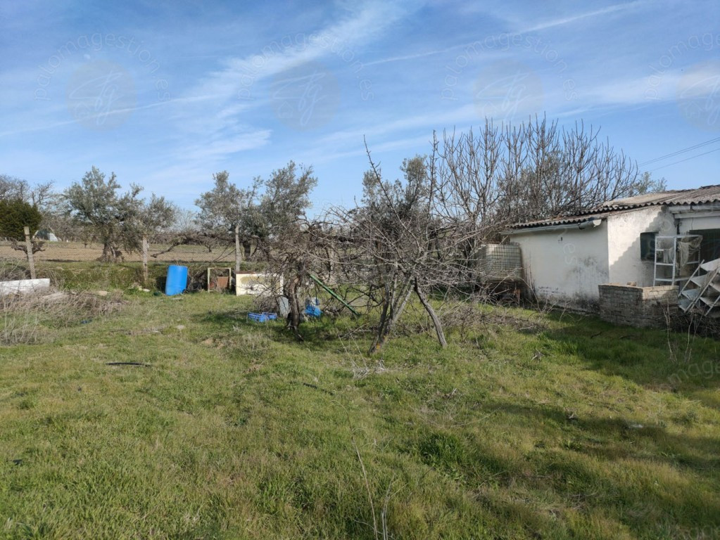 Parcela en Venta en Torrelaguna Madrid - foto 4