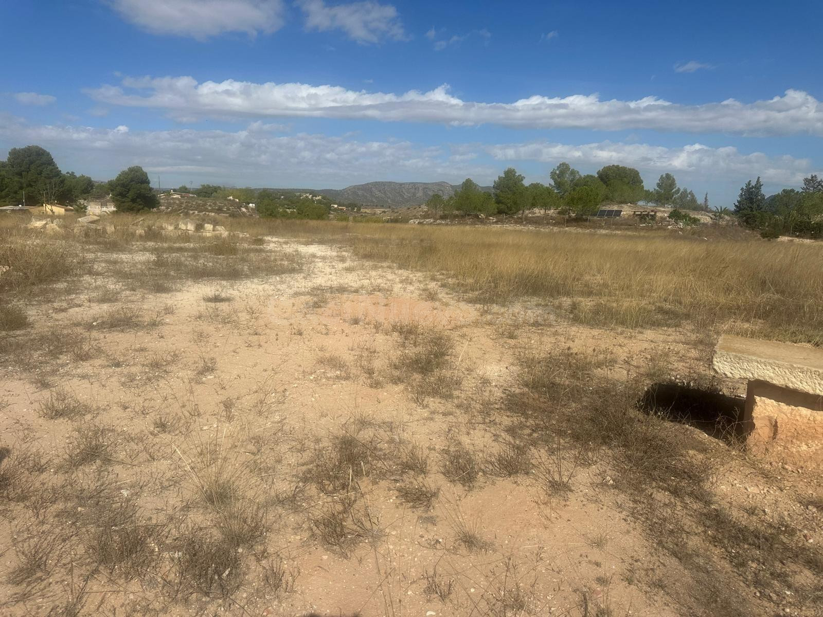 Terreno Rural Agrario de 13.000 m2 en Beties – Monóvar - foto 4