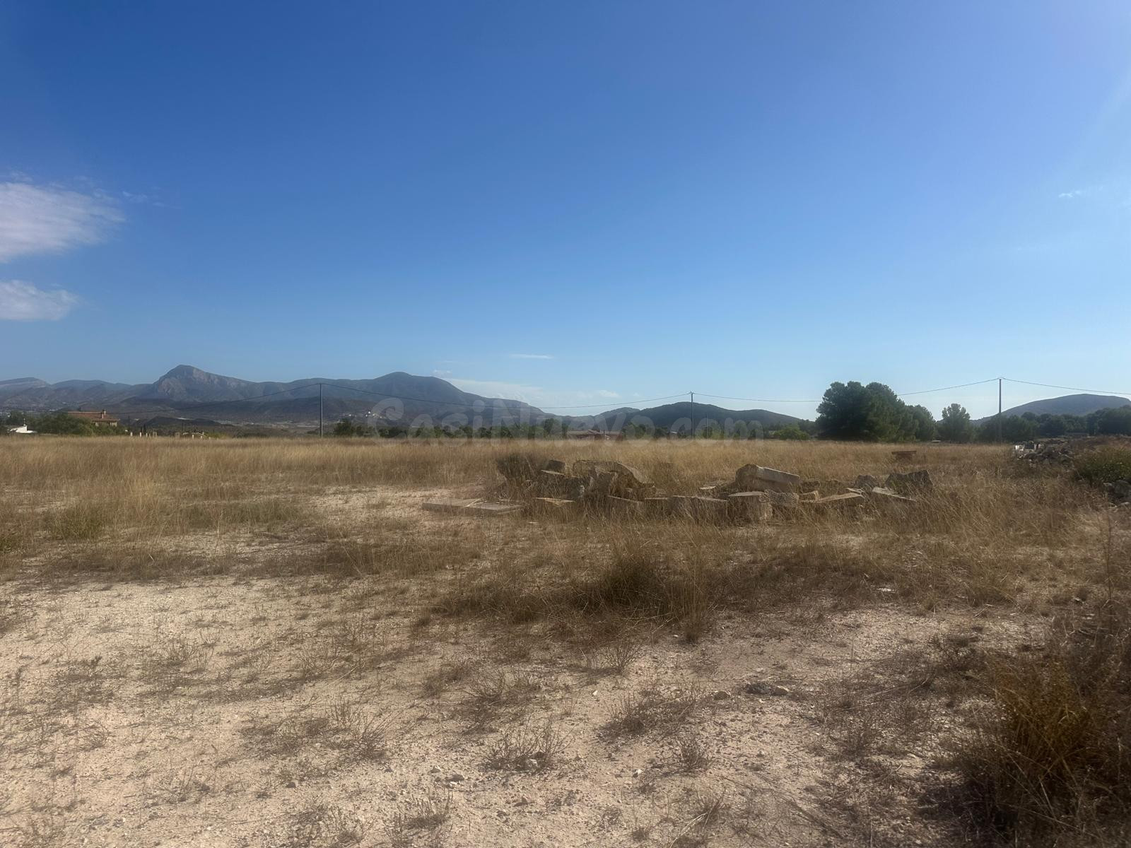 Terreno Rural Agrario de 13.000 m2 en Beties – Monóvar - foto 5