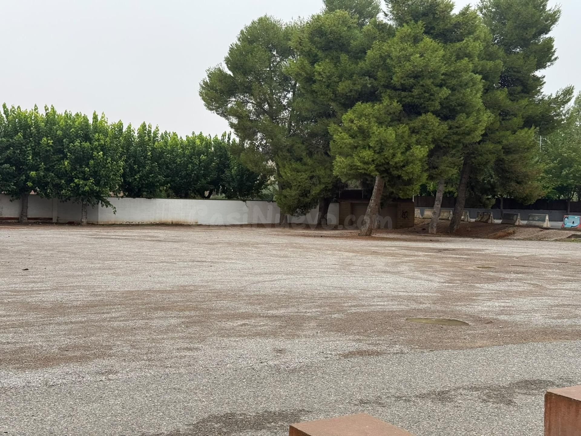 3 TERRENOS A LA VENTA PARA EDIFICAR EN TARGA - foto 3