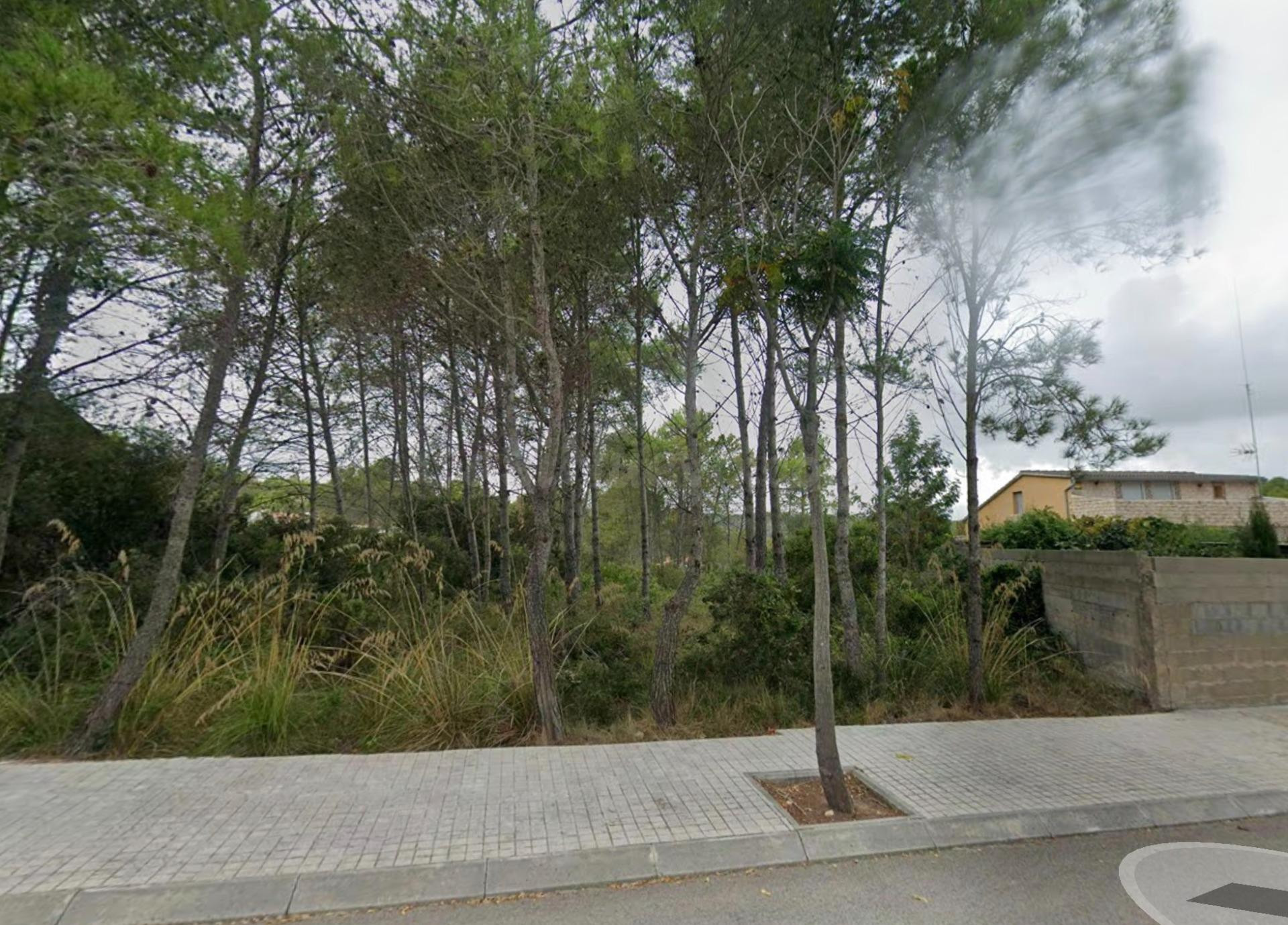 Parcela plana urbanizable con vistas a montaña - foto 4