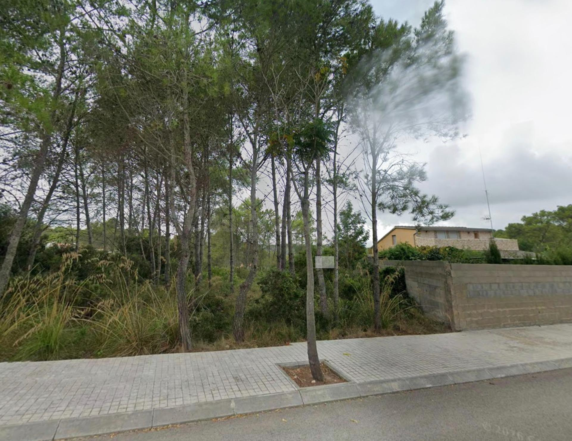 Parcela plana urbanizable con vistas a montaña - foto 5