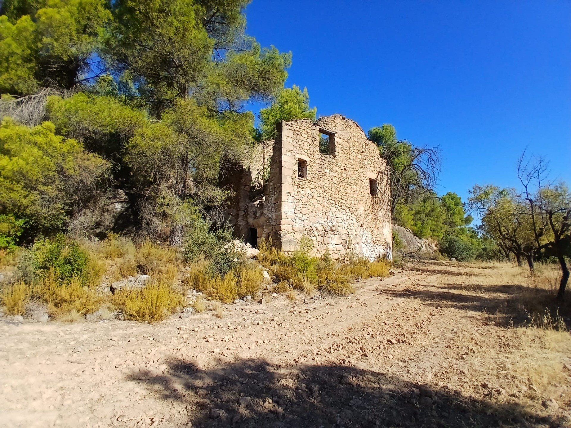 Finca rústica con maset en Arnes