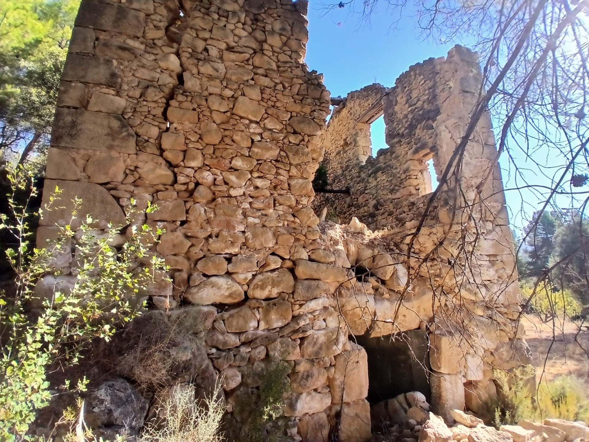 Finca rústica con maset en Arnes - foto 3