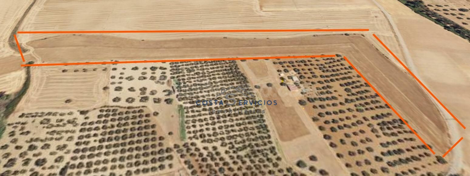 Terreno agrario 1 Hectarea