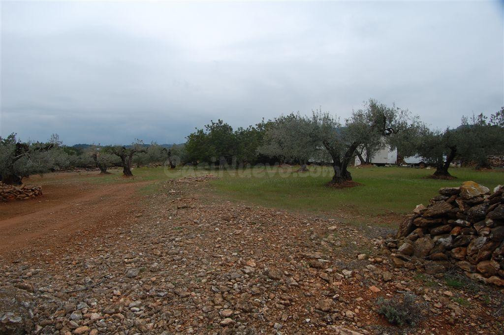 Finca rústica en venta - Afueras del pueblo