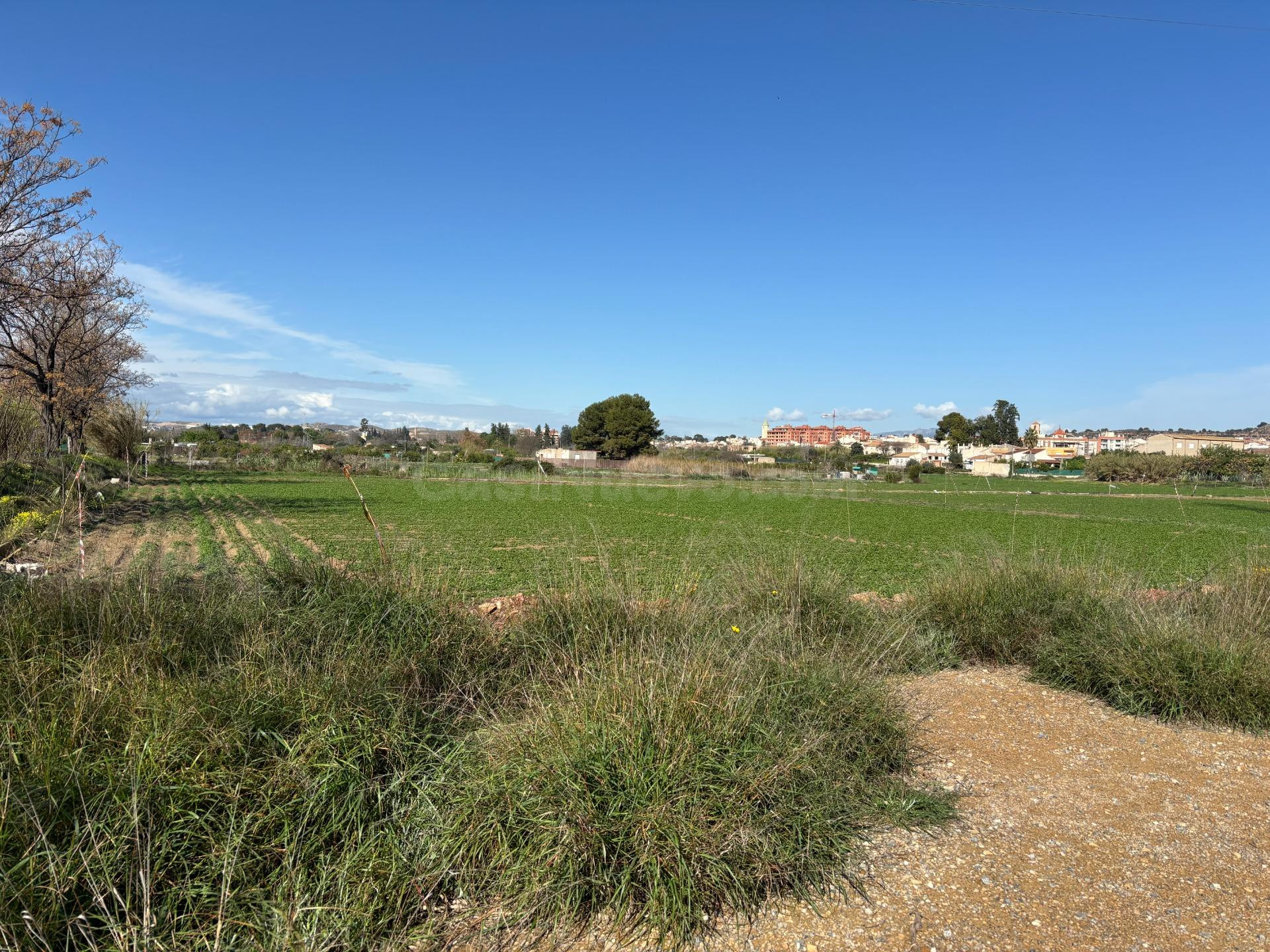 Parcela rústica a la venta en Puente Tocinos - foto 2
