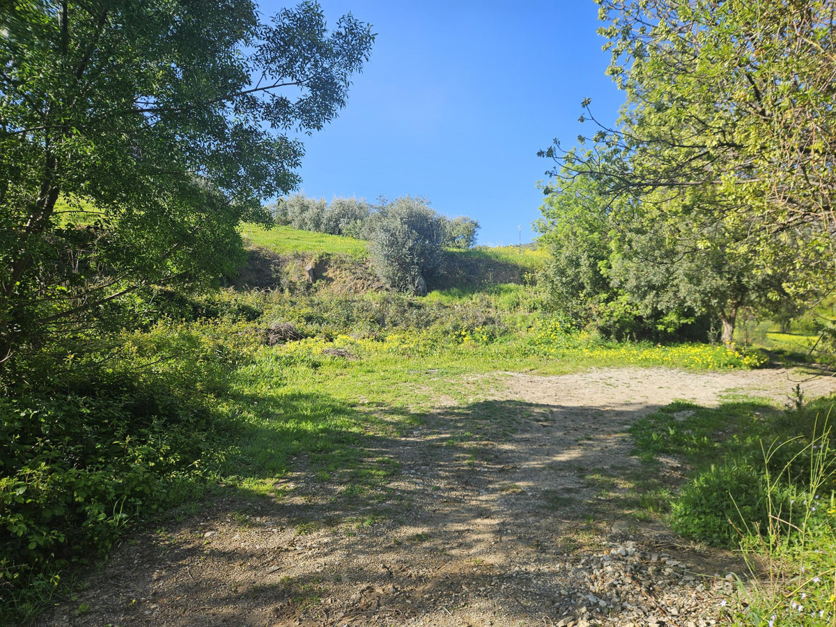 Finca rústica con olivos y cuadra en Casarabonela (Málaga) - foto 3