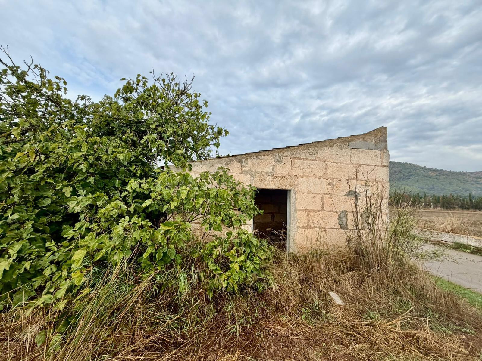 Terreno rural en venta - Pobla (Sa)