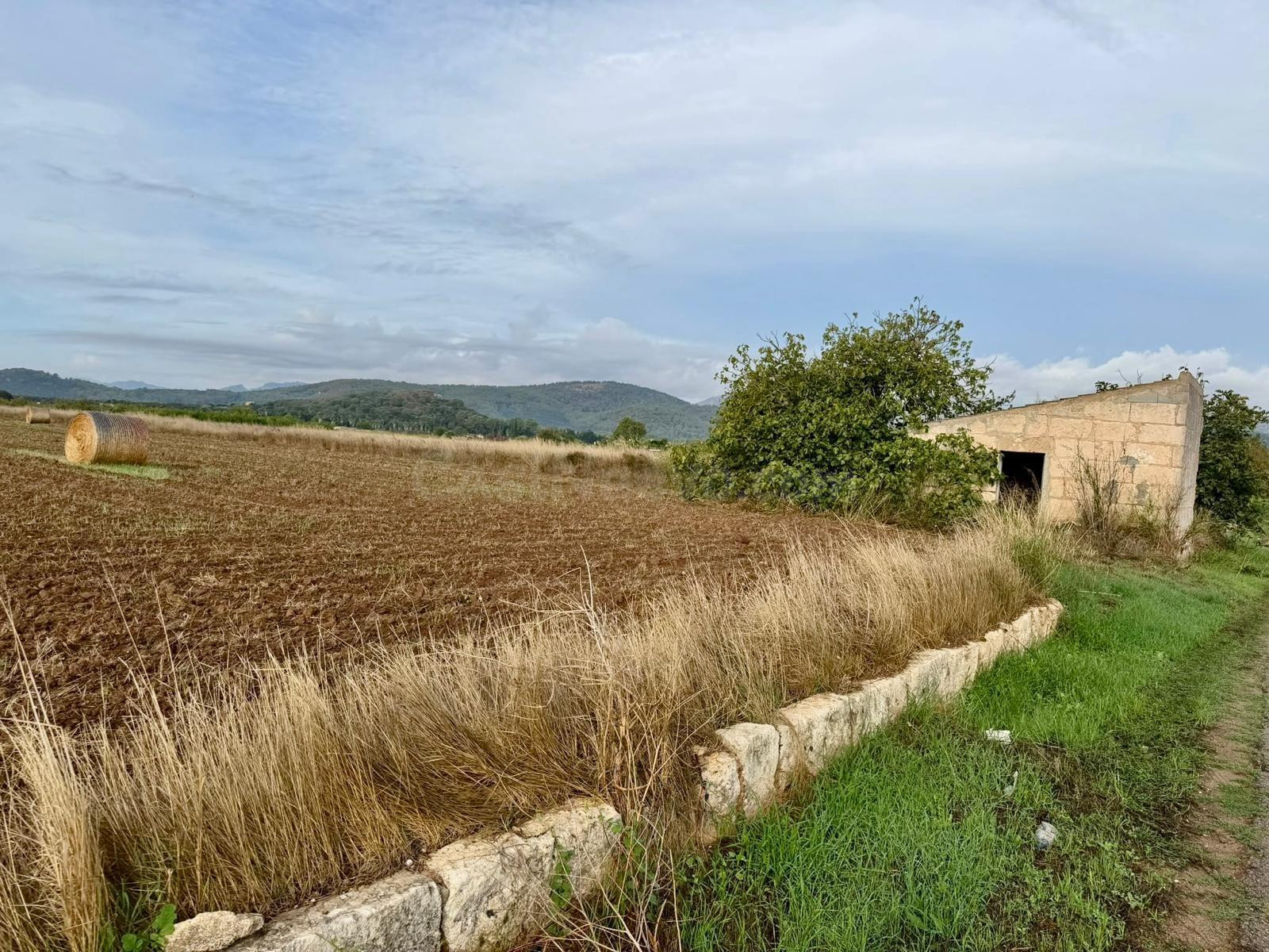 Terreno rural en venta - Pobla (Sa) - foto 4