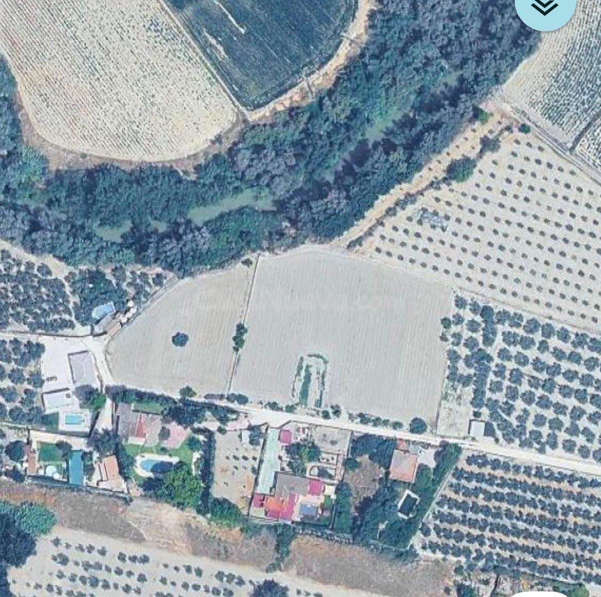 Parcela rural de 9.705 m² en Salar (Granada) para cultivo o 