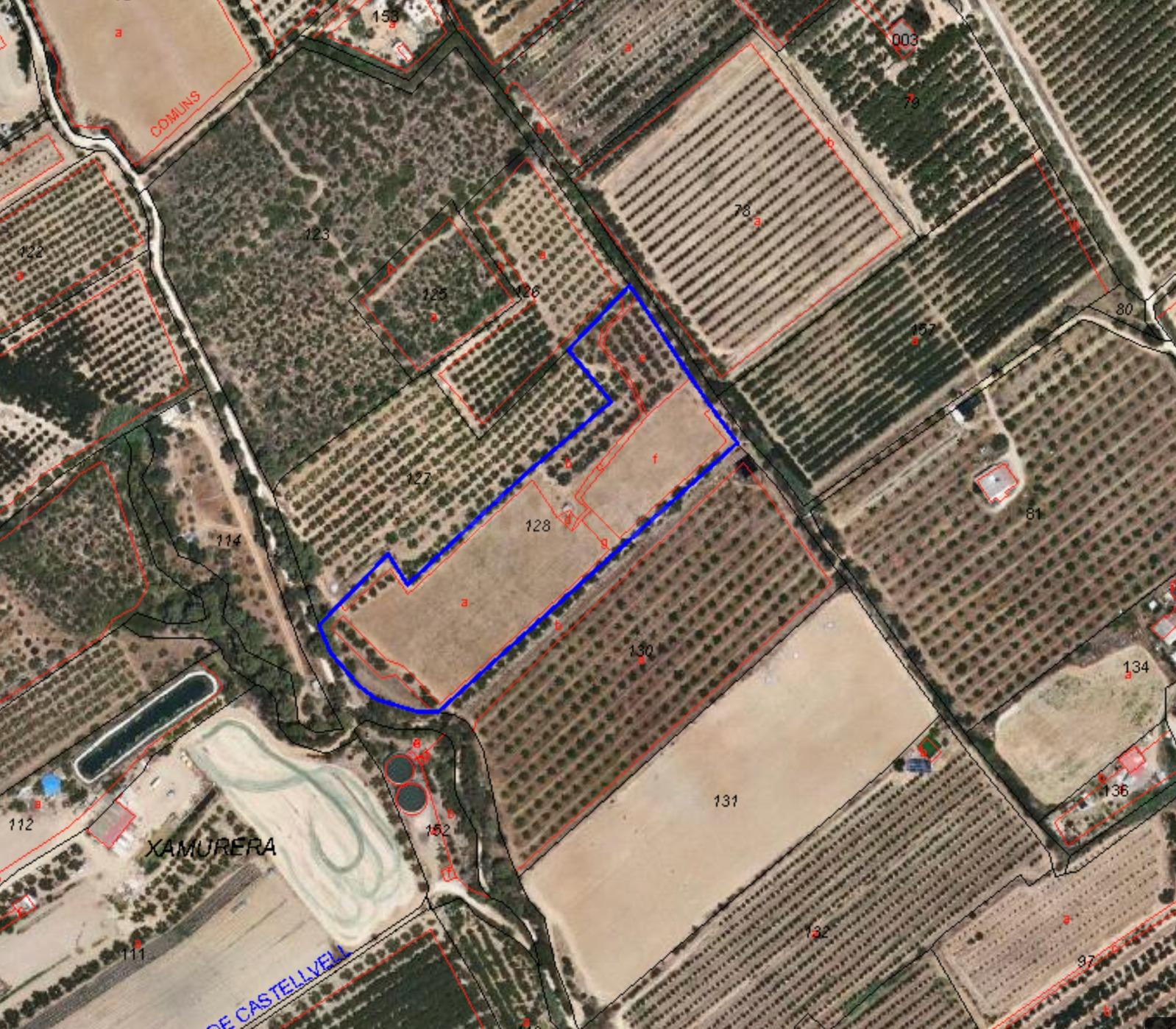 Finca rústica de 1,7 ha con 125 olivos arbequina en producci - foto 3
