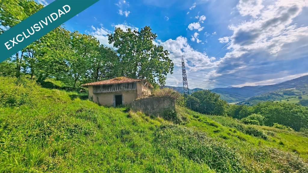 Más de una hectárea de Asturias, una cabaña de piedra y todo
