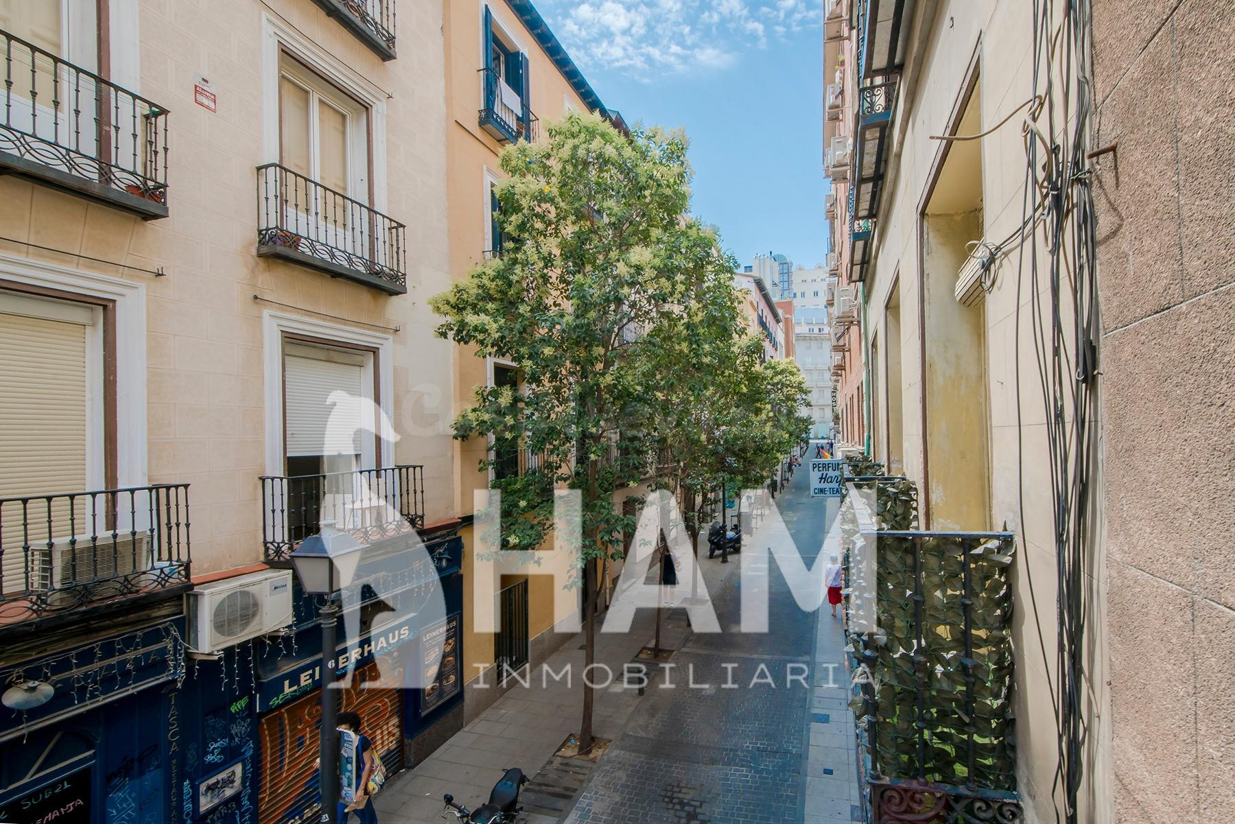 Piso 6 habitaciones 151m² en venta - San Nicasio - foto 4