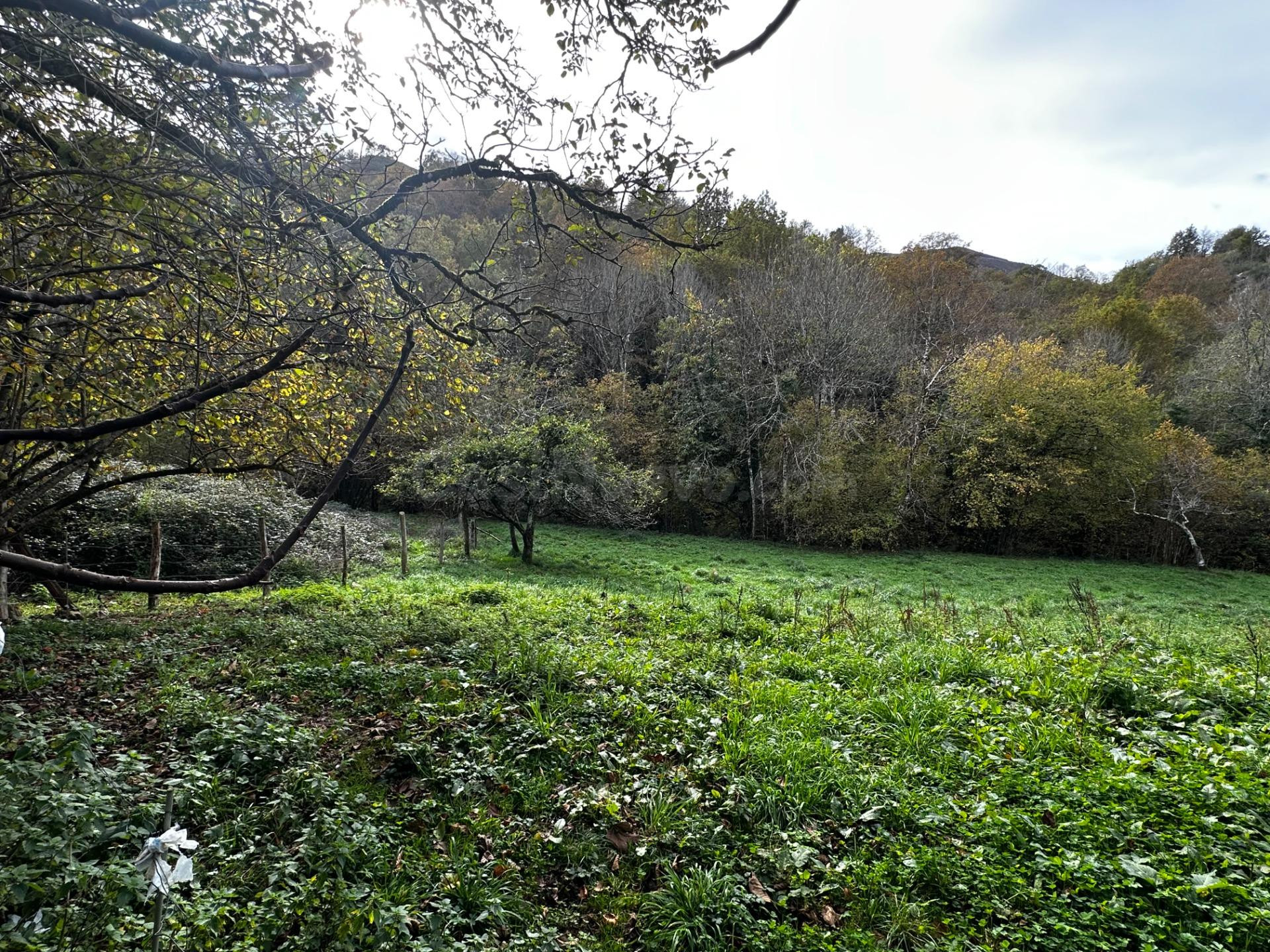 FINCA EDIFICABLE A 3 KM DE CANGAS DE ONIS