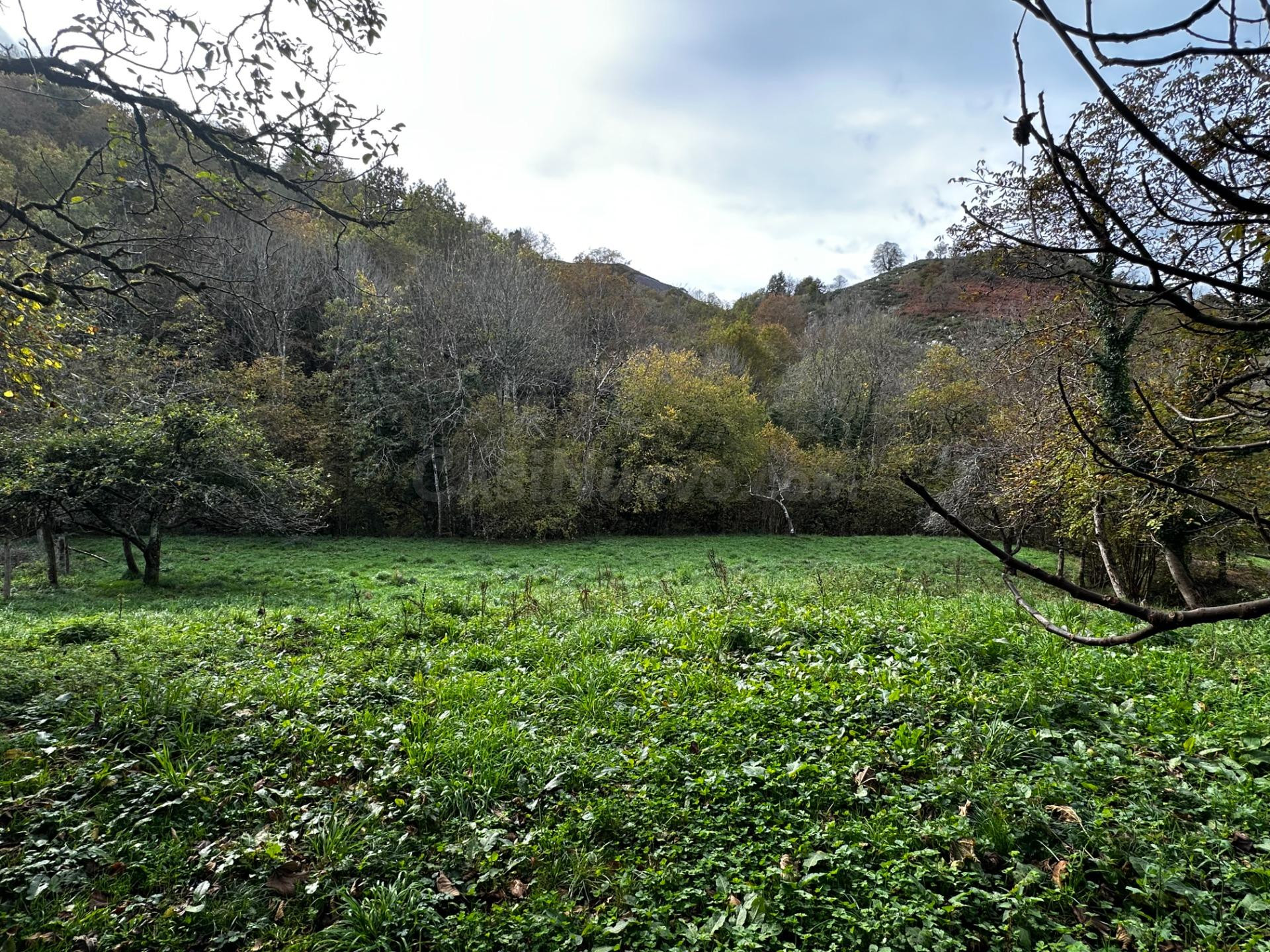 FINCA EDIFICABLE A 3 KM DE CANGAS DE ONIS - foto 2