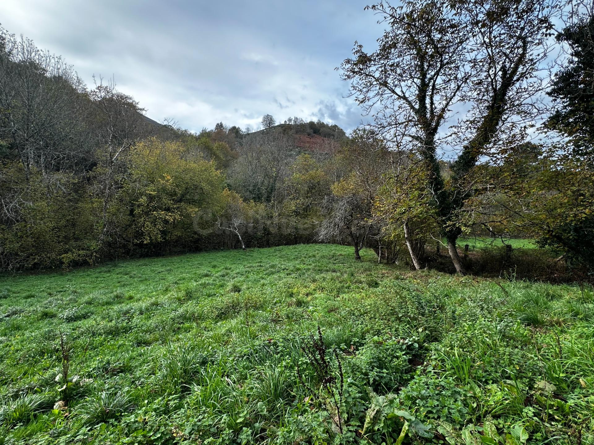 FINCA EDIFICABLE A 3 KM DE CANGAS DE ONIS - foto 4
