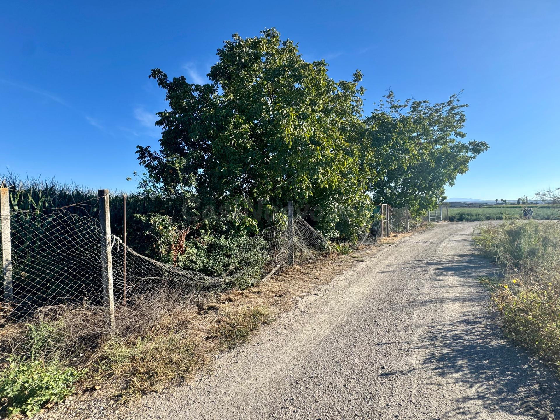TERRENO RÚSTICO EN VENTA EN CHAUCHINA – 3.146 m2 CON POZO Y construcciones