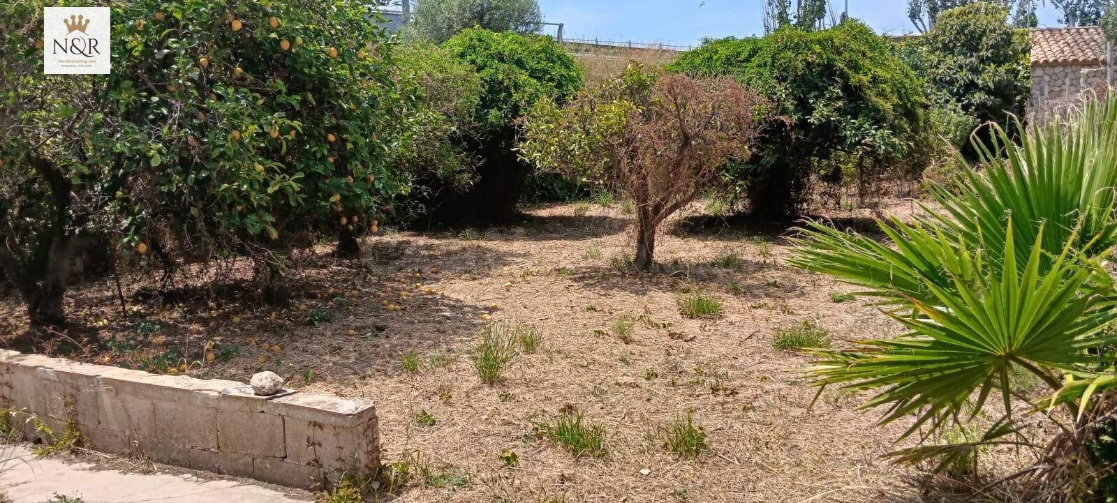 FINCA CON CASA 18 M2 Y AGUA CON ACCESO PEATONAL - foto 3