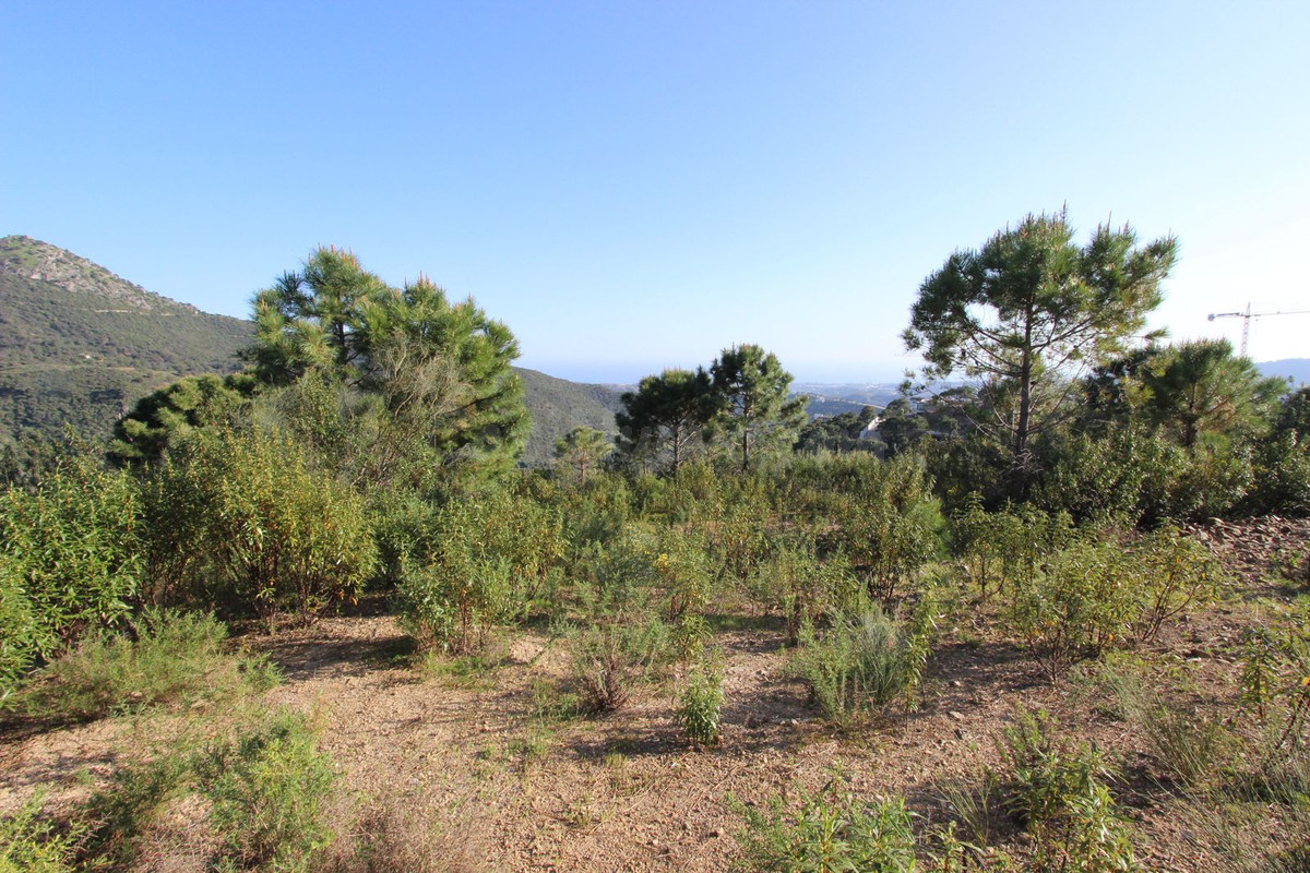 Parcela exclusiva con vistas al Mediterráneo en Benahavís