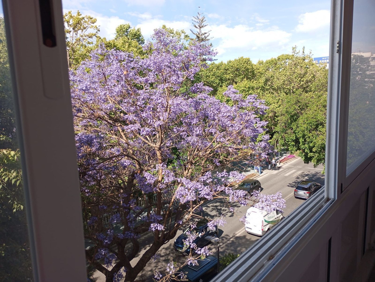 Apartamento 3 habitaciones 160m² en venta - Marbella