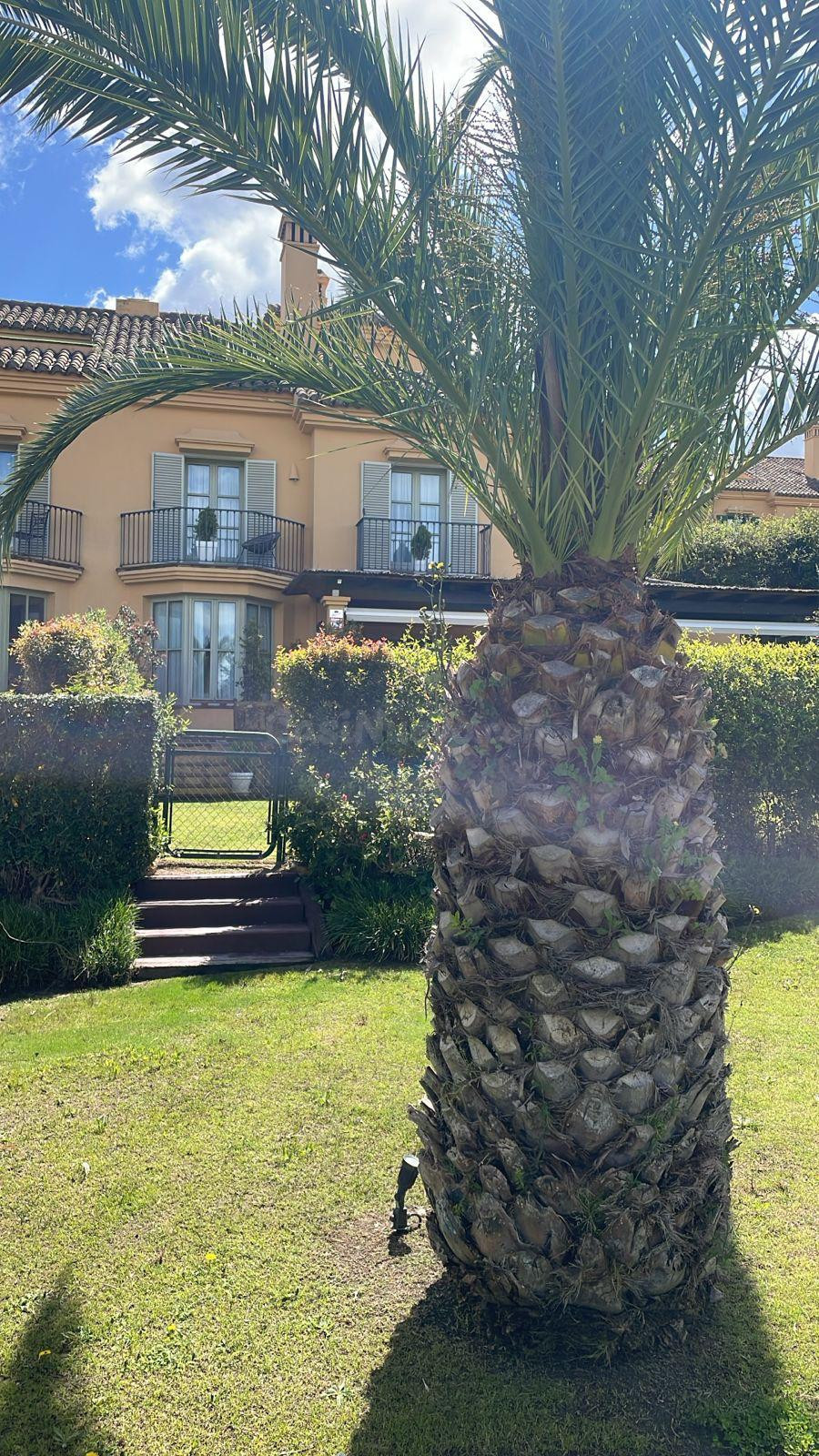 Adosado 4 habitaciones 320m² en venta - Sotogrande - Alto - foto 4