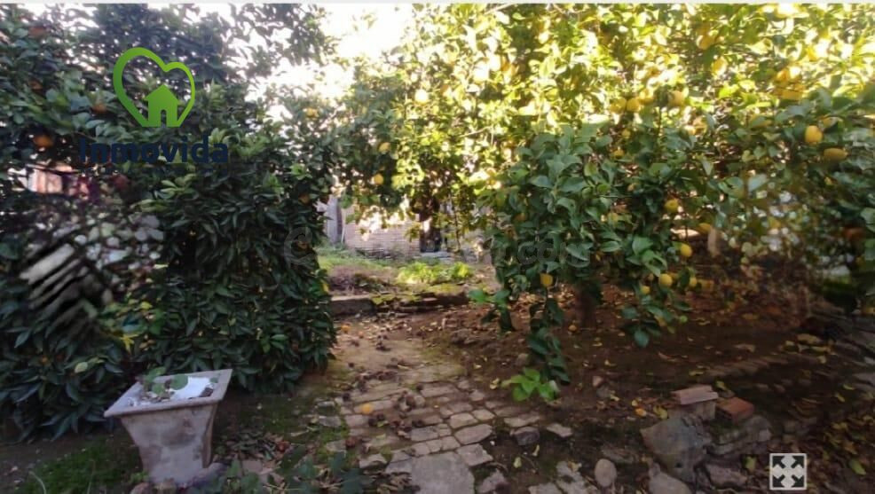 ¡Casa de Oportunidad en El Carpio! ✨