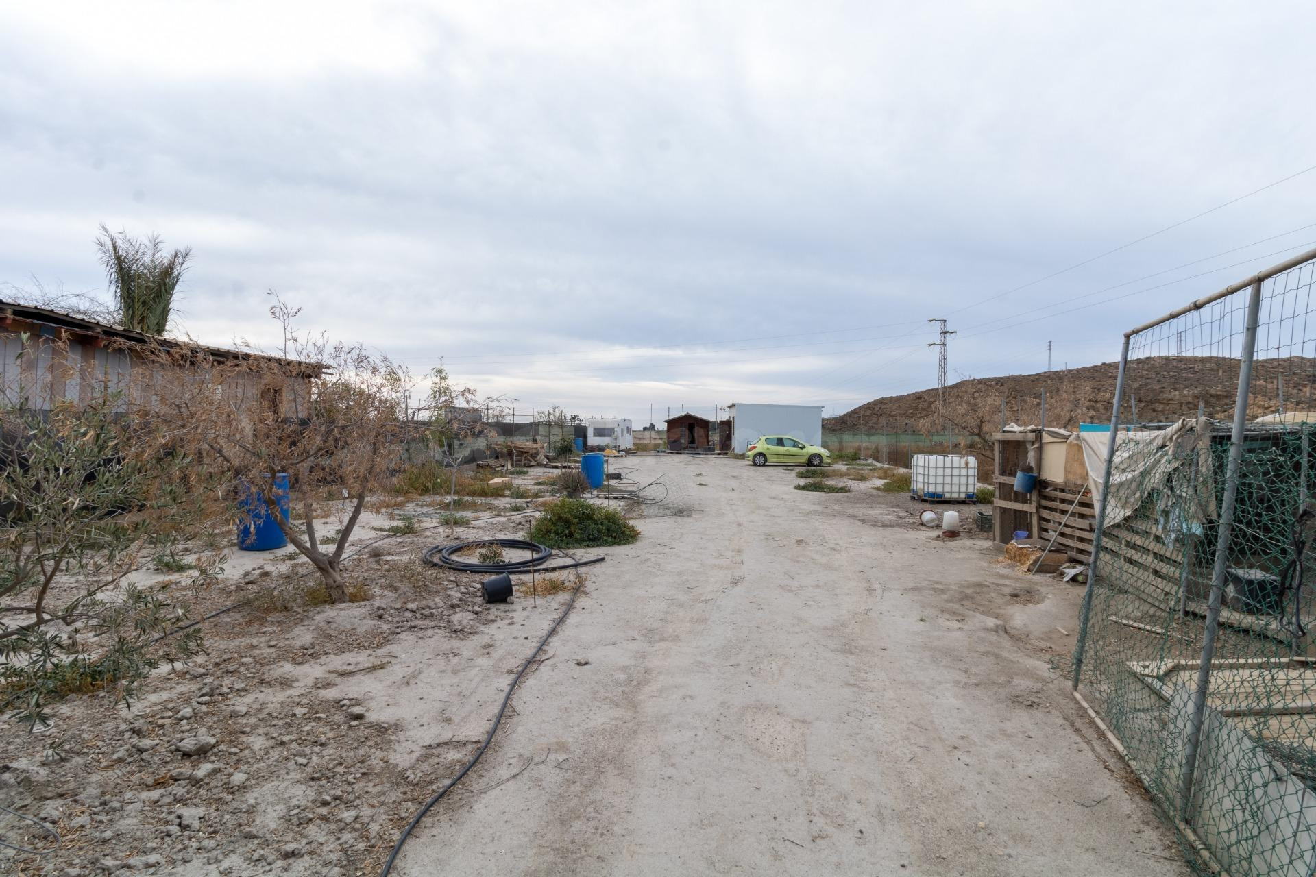TERRENO EN PECHINA- CAMINO MARIANO - foto 4