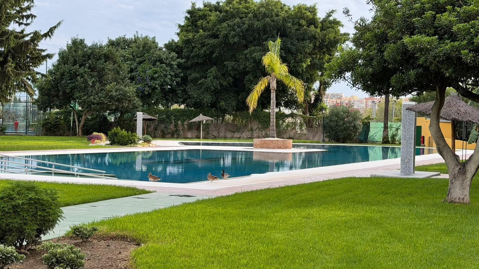 ESTUDIO EN VENTA EN LA COLINA, TORREMOLINOS ☀️ LICENCIA TURÍSTICA ACTIVA