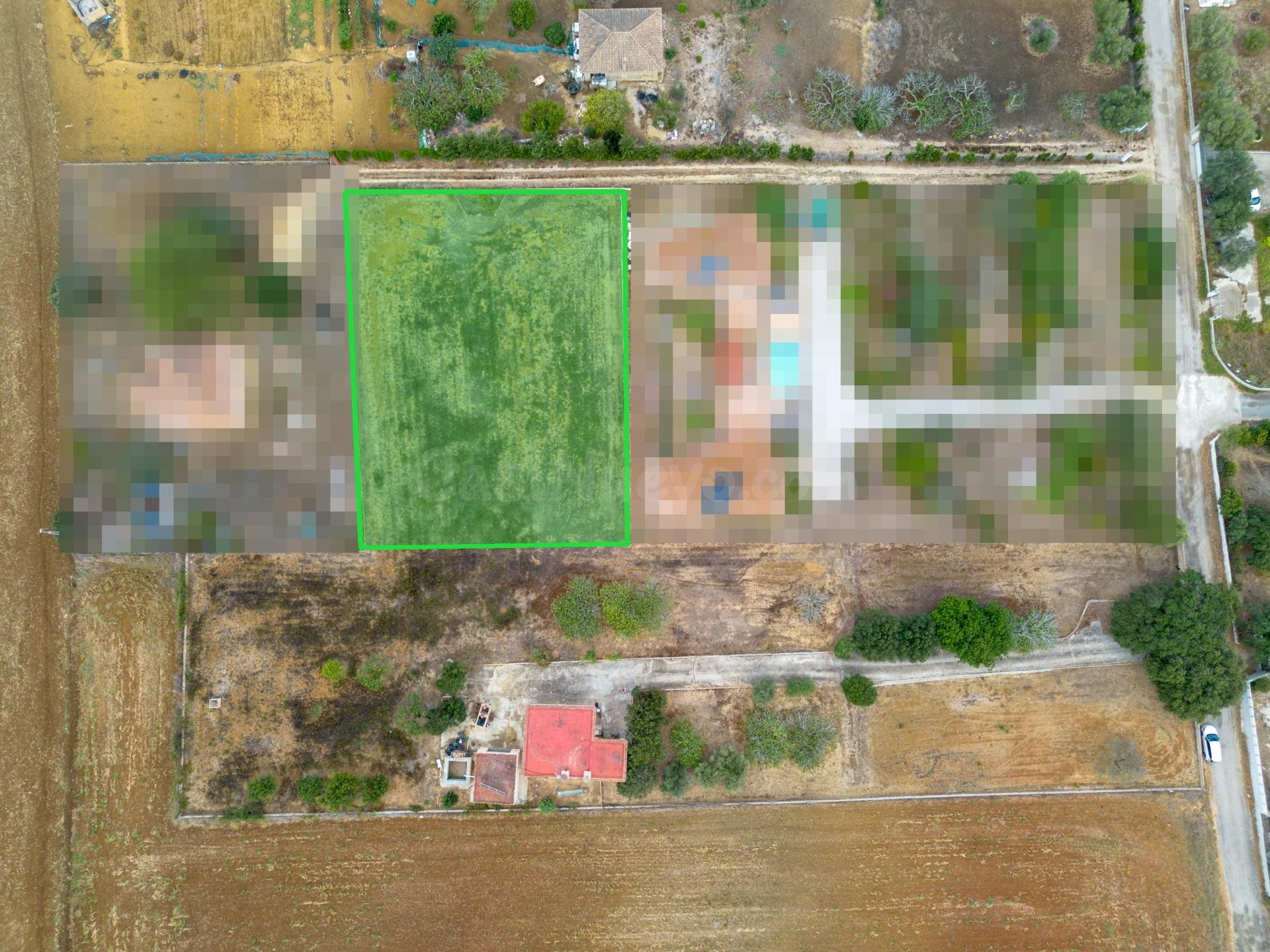 Parcela rústica de 2.000 m2 en Pago de Humo, Chiclana: tu terreno en el campo