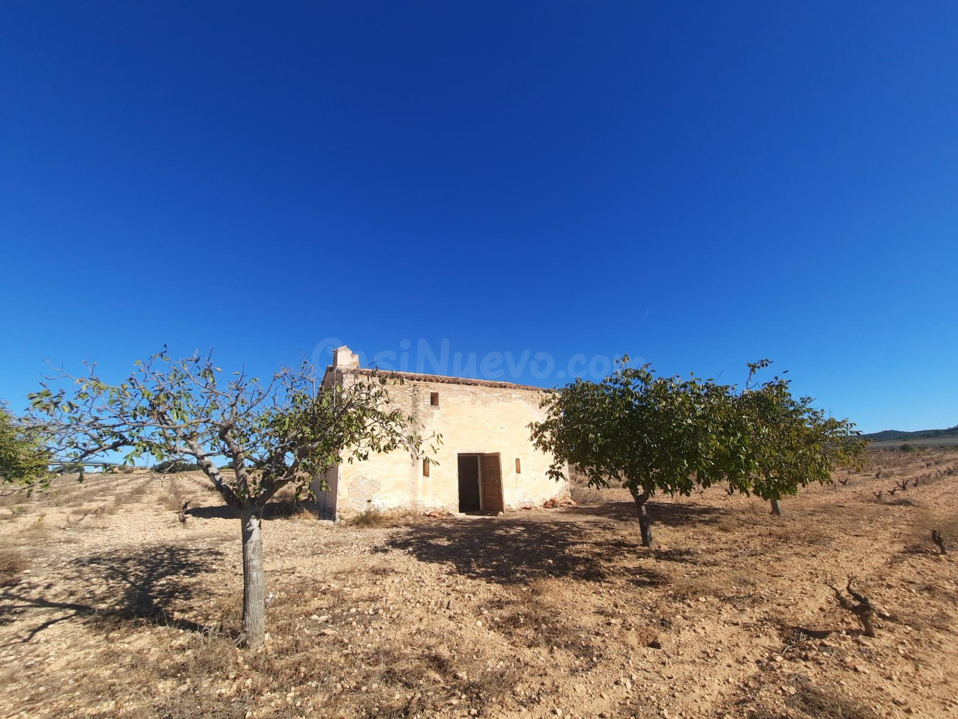 FINCA RÚSTICA EN ALMANSA