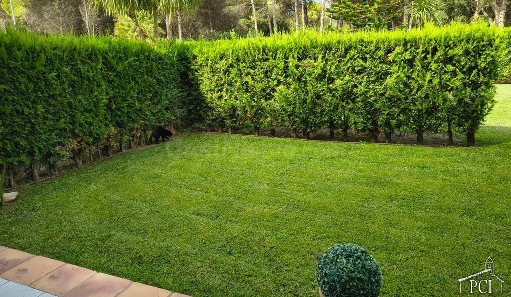 Apartamento en planta baja con jardín privado y piscina comu - foto 4