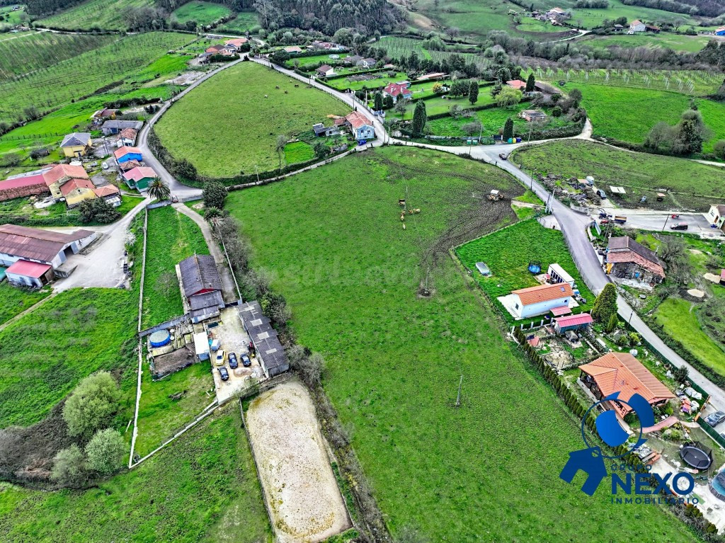FINCA EDIFICABLE Y PARCELABLE EN EL GALLINAL | VISTAS AL VALLE, CASA DE PIEDRA Y GRAN POTENCIAL - foto 2