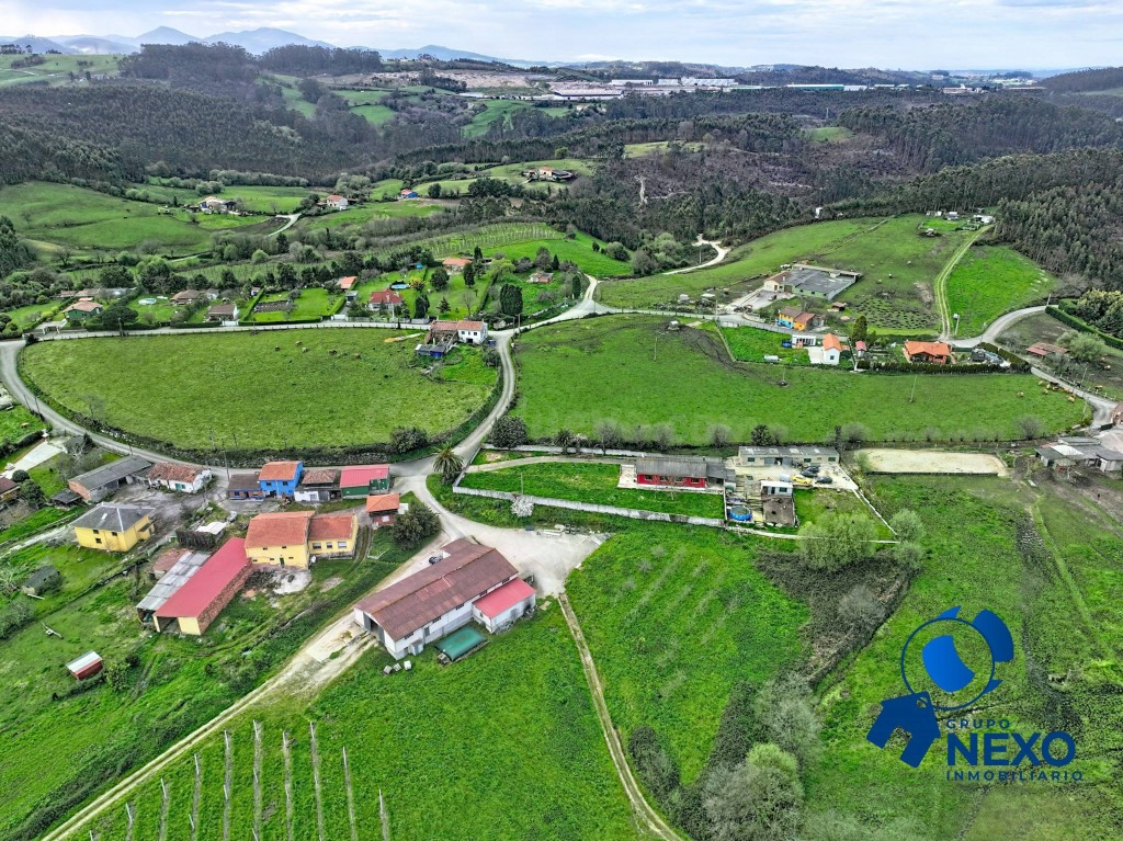 FINCA EDIFICABLE Y PARCELABLE EN EL GALLINAL | VISTAS AL VALLE, CASA DE PIEDRA Y GRAN POTENCIAL - foto 5
