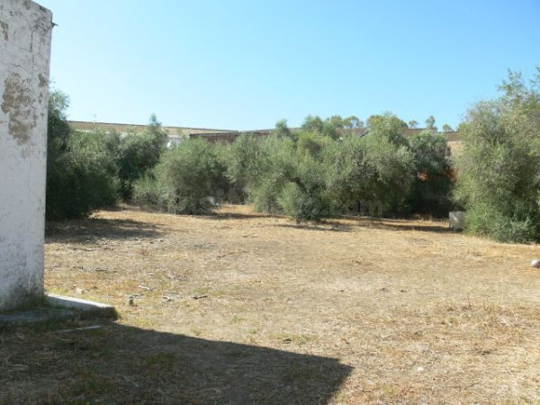 ¡EXCLUSIVA OPORTUNIDAD EN CASTILBLANCO DE LOS ARROYOS! SOLAR URBANO DE 200m2 DESDE 48.000€